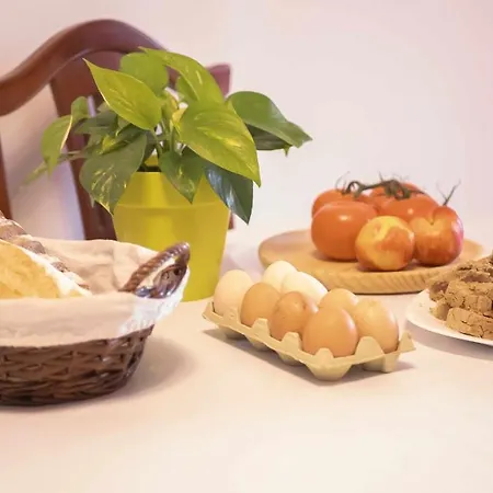 Гостевой дом Canary Bio Tenerife Лос-Реалехос