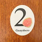 Pensjonat Canary Bio Tenerife *
