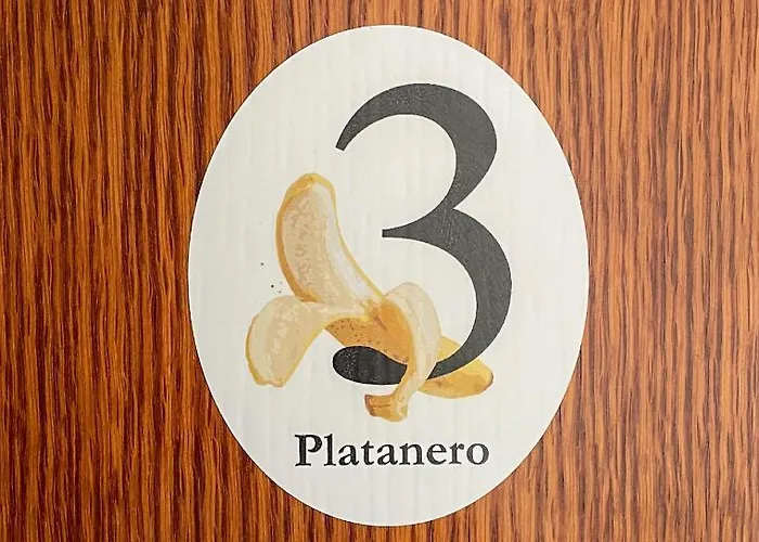 Canary Bio Tenerife *