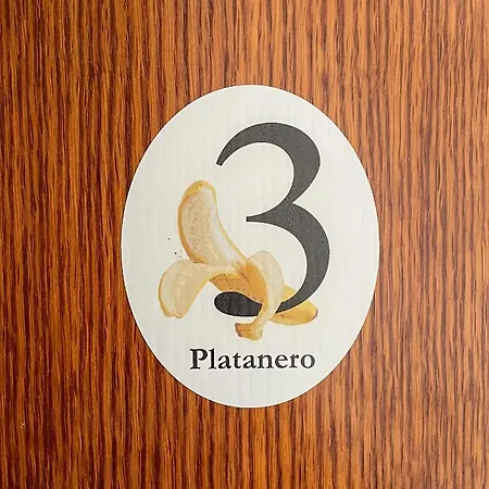 Canary Bio Tenerife *