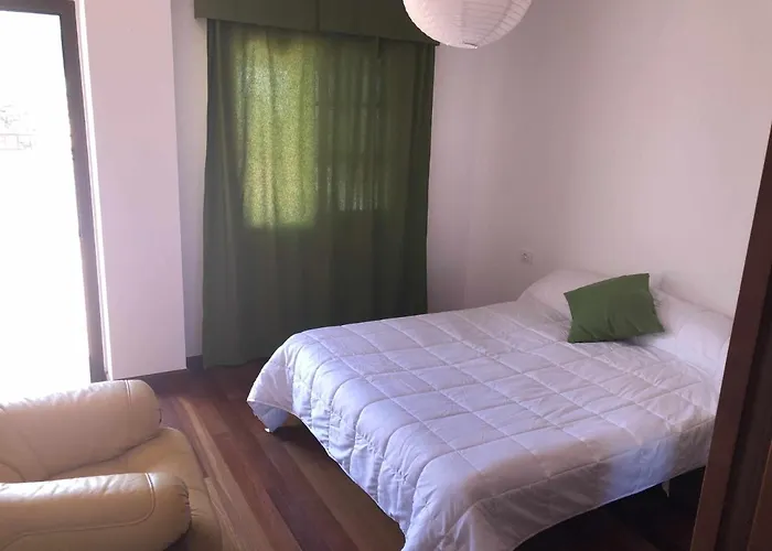 Canary Bio Tenerife *