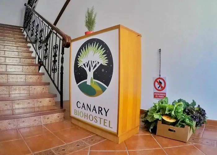 Canary Bio Tenerife * Лос-Реалехос